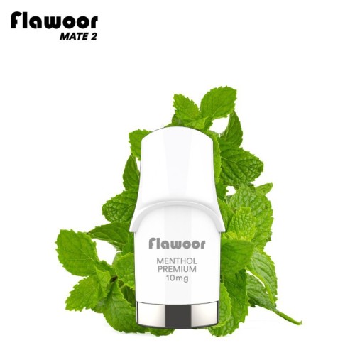 Cartouche Menthol Premium (pack de 2) - FLAWOOR Mate 2