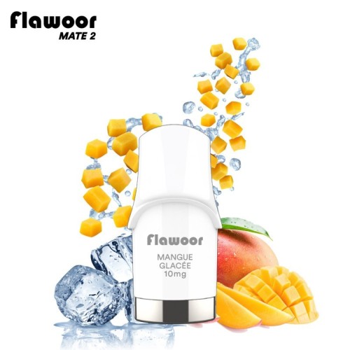 Cartouche Mangue Glacée (pack de 2) - FLAWOOR Mate 2