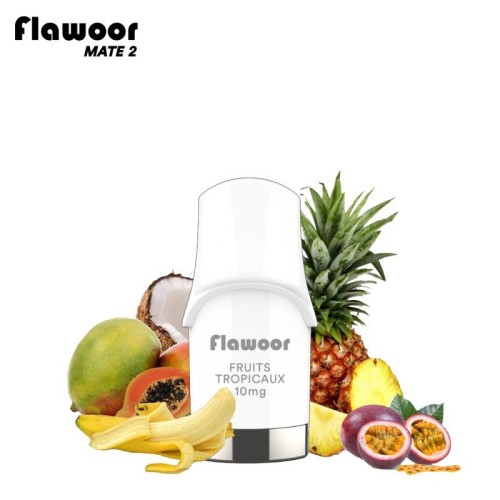 Cartouche Fruits Tropicaux (pack de 2) - FLAWOOR Mate 2