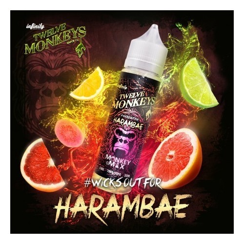 HARAMBAE 50ml - TWELVE MONKEYS