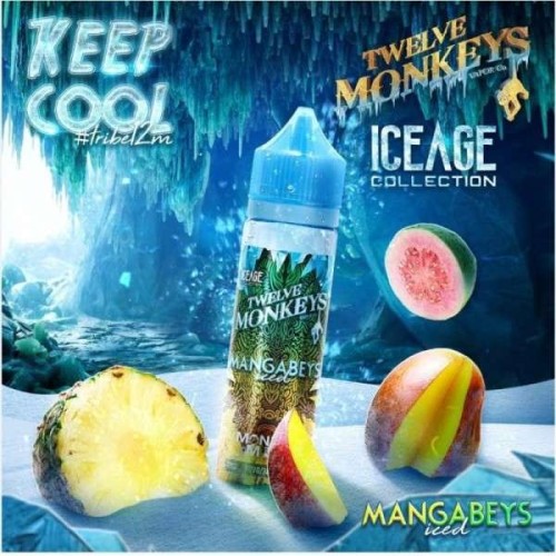 MANGABEYS ICED 50ml de TWELVE MONKEYS - TPD BE/FR 